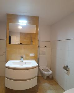a bathroom with a sink and a toilet at La casa din deal in Vişeu de Sus +43 photos