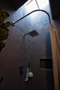 a bathroom with a shower with a light on the ceiling at CastaVerde in Palomas