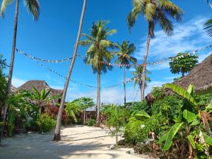 a path through palm trees on the beach at Furaha Lodge in Jambiani