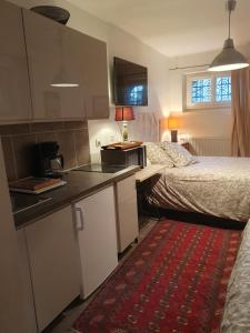 sypialnia z łóżkiem oraz kuchnia z blatem w obiekcie La Romantique w Paryżu