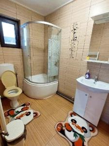 a bathroom with a shower and a toilet and a sink at CASA OANA in Radoşi