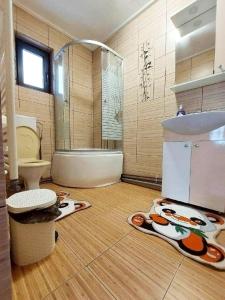 a bathroom with a shower and a toilet and a sink at CASA OANA in Radoşi