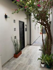 a hallway with a black door and a tree at OSTATUA ETXEA in Salta
