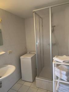 a bathroom with a shower and a toilet and a sink at Ferienhäuser am Vogelpark - Boddenhaus Tizi in Marlow