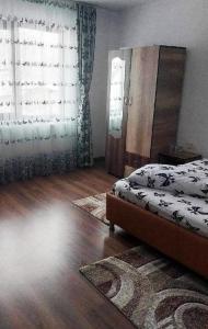 a bedroom with a bed and a window and a rug at CASA OANA in Radoşi