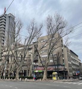 un edificio con árboles frente a una calle en Alexandar13, en Belgrado 32 fotos más