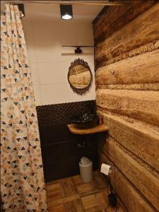 a bathroom with a wooden wall and a mirror at Domek Tuni in Pewel Wielka