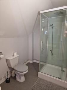 a bathroom with a toilet and a glass shower at Les Chambres de Beaumont in Beaumont-Village