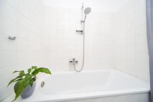 ein Badezimmer mit einer Dusche mit einer Pflanze neben einer Badewanne in der Unterkunft Apartment Central 85B 40qm Wi-Fi free in Dortmund + 16 Fotos