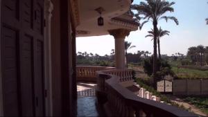 a porch of a house with a fence and a palm tree at فندق لؤلؤة الريف in Kafr ʼakīm