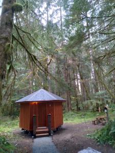 a small cabin in the middle of a forest at Alexander's Lodge in Ashford