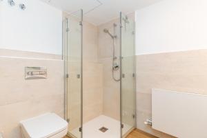 ein Badezimmer mit Dusche und Toilette in der Unterkunft El Huerto - Großzügiges Appartment in Katalanischer Masia in Sant Iscle de Vallalta