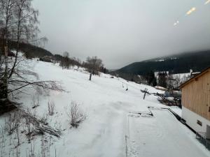 a snow covered field with trees and a building at Golden Ridge Apartments in Špindlerův Mlýn