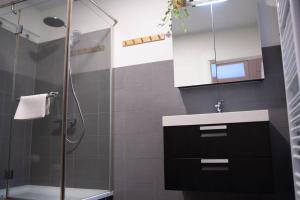 een badkamer met een douche, een wastafel en een spiegel bij Gaston vakantiehuis in Geraardsbergen