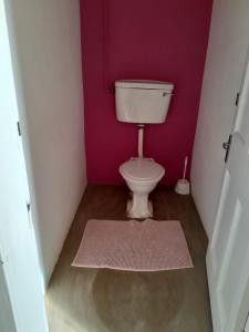 a bathroom with a toilet in a purple wall at UNDERBERG INN in Underberg