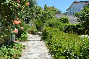 A garden outside Pietro & Graziella