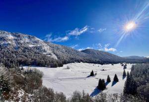 a snow covered slope with trees and the sun in the sky at Restaurant Hôtel du Vercors in Saint-Martin-en-Vercors