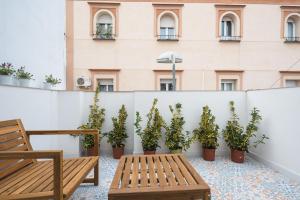 une rangée de plantes en pot sur le toit d'un bâtiment dans l'établissement Casa Niña, à Séville