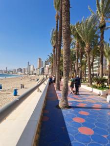 ベニドルムにあるApartamento Fiesta Solの浜辺のヤシの木が並ぶ歩道