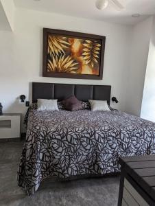 um quarto com uma cama com um quadro na parede em Apartamento Colibrí em Ixtapa