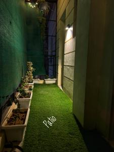 Ein Garten an der Unterkunft Elysium