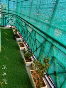 Ein Garten an der Unterkunft Elysium