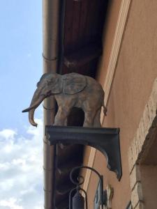 a statue of an elephant on the side of a building at Arany Elefánt szálláshely in Esztergom
