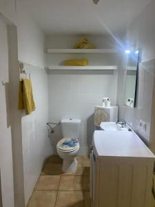 une salle de bain blanche avec toilettes et lavabo dans l'établissement Flor de Loto Tantra Xtreme, à Aguatona