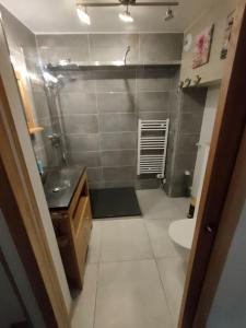 un bagno con doccia, WC e lavandino di -Studio Aix les bains face au lac- ad Aix-les-Bains Altre 11 foto