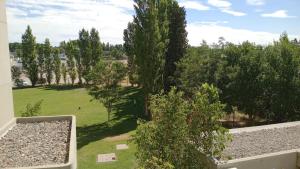 Blick auf einen Garten mit Bäumen und Gras in der Unterkunft Departamento en la Costa del Rio Limay (Neuquen Capital) in Neuquén