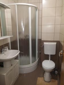 uma casa de banho com um chuveiro, um WC e um lavatório. em Casa del Sole em Klenovica