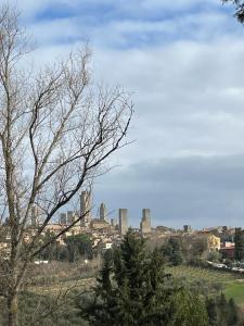 a view of a city with buildings in the distance at La Casina di Cinzia in San Gimignano