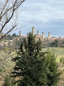 a christmas tree with a city in the background at La Casina di Cinzia in San Gimignano