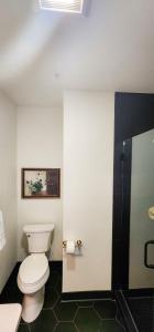 a bathroom with a white toilet and a mirror at Speakeasy Suites Sleeps 18 in Nevada City
