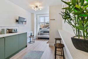 uma cozinha com um balcão e um vaso de plantas em The Buccleuch Luxury Apartments em Kettering