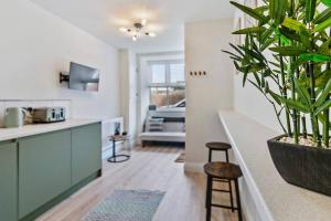 a kitchen with a counter and a potted plant at The Buccleuch Luxury Apartments in Kettering