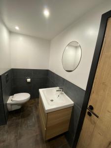 een badkamer met een wastafel, een toilet en een spiegel bij Le Gevrais in Jalhay