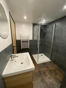 een badkamer met een wastafel en een douche bij Le Gevrais in Jalhay