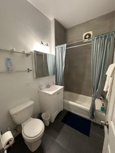 een badkamer met een toilet, een wastafel en een douche bij Flexhome Ukrainian Village 2BR D1 - READ INFO in Chicago