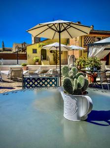 un cactus assis au-dessus d'une table avec un parapluie dans l'établissement Corte Uccellanda Relais, à Monzambano