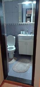 Een badkamer bij Borča1