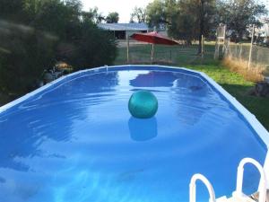 a pool with a green ball on top of it at Corowa Oakleigh Hideaway in Hopefield