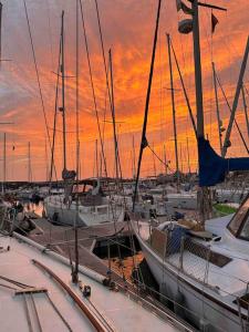 a group of boats docked in a marina at sunset at PataPalo in Arrecife