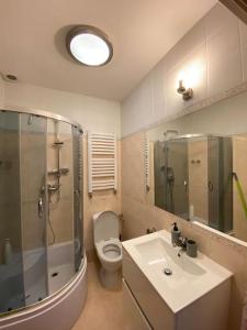 uma casa de banho com um WC, um lavatório e um chuveiro em Mieszkanie Centrum 60 m na wylacznosc em Lublin