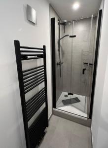 a bathroom with a glass shower with a sink at Dünen Lodge 2 in Juist