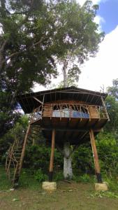 a tree house on wooden posts in front of a tree at Moradia da Mata in Nilo Peçanha