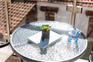 a glass table with a plant sitting on top of it at Kentrikon Rooms in Limenaria