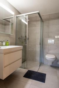 uma casa de banho com um chuveiro, um lavatório e um WC. em Ferienwohnung Senggi em Adelboden