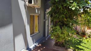 - l'entrée d'une maison avec une fenêtre et une brousse dans l'établissement El Depto de la Abuela, à Puerto Iguazú