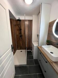 ein Bad mit einer Dusche, einem WC und einem Waschbecken in der Unterkunft Joli app. lumineux gare st Charles in Marseille